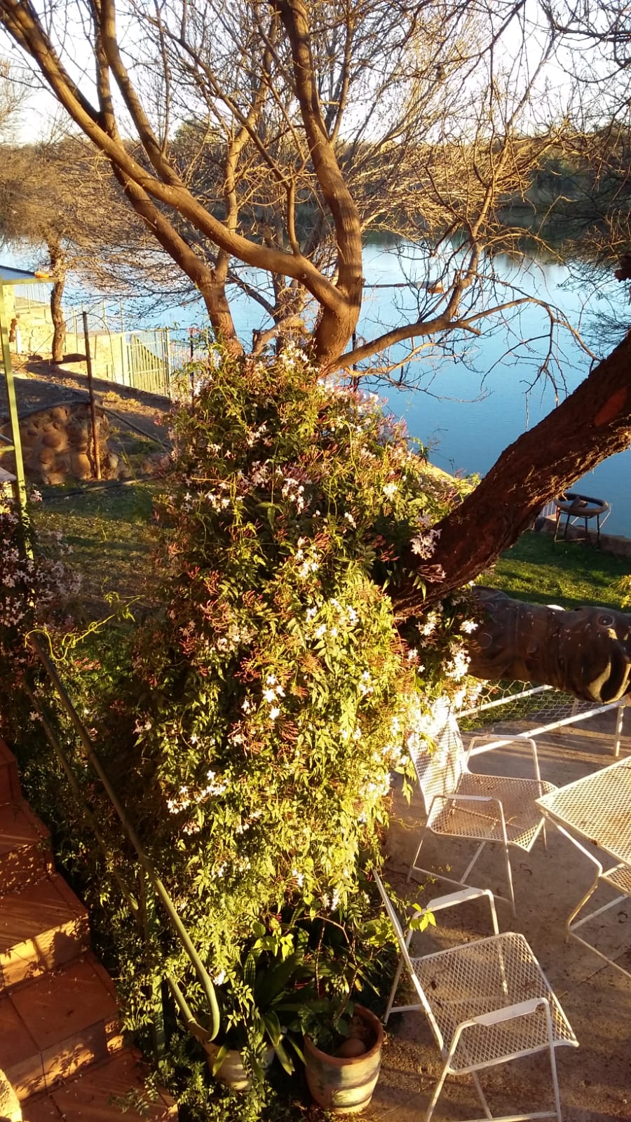 3 Bedroom Property for Sale in Bloemhof North West